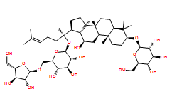 Notoginsenoside-Fe
