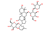 Notoginsenoside-R1