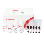 ONPG – Galactosidase Assay Kit