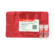 SNP Taq DNA Polymerase