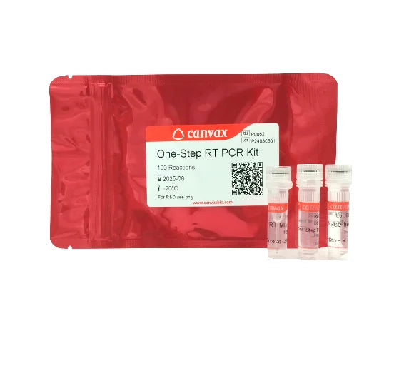 One-Step RT PCR Kit