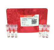 HotBegan™ Hot Start Red DNA Polymerase MasterMix