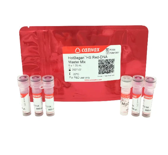 HotBegan™ Hot Start Red DNA Polymerase MasterMix