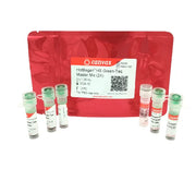 HotBegan™ Hot Start Green-Taq MasterMix