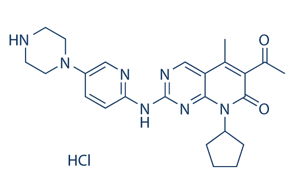 Palbociclib (PD-0332991) HCl chemical structure