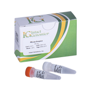 PEmax Enzyme