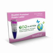 BlueRAY Prestained Protein Ladder - PM006-0500