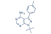 PP1 chemical structure