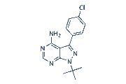 PP2 chemical structure