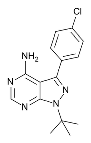 PP2