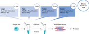 Single-cell WGA and library prep for SNV and CNV detection - Next-generation sequencing - Takara Bio