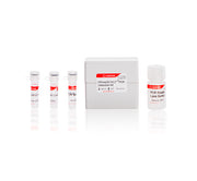 PRImeDETECT™ Salmonella Detection Kit