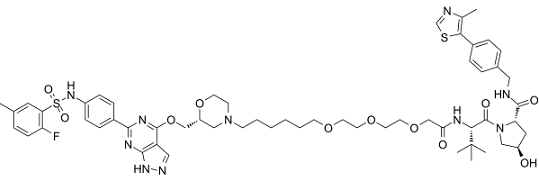 PROTAC SGK3 degrader-1