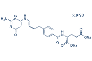 Pemetrexed Disodium Hydrate