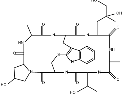 Phalloidin