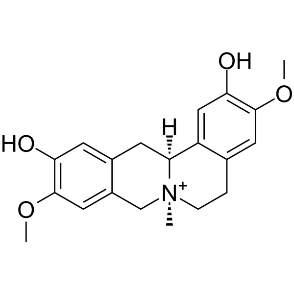 Phellodendrine