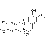 Phellodendrine-chloride