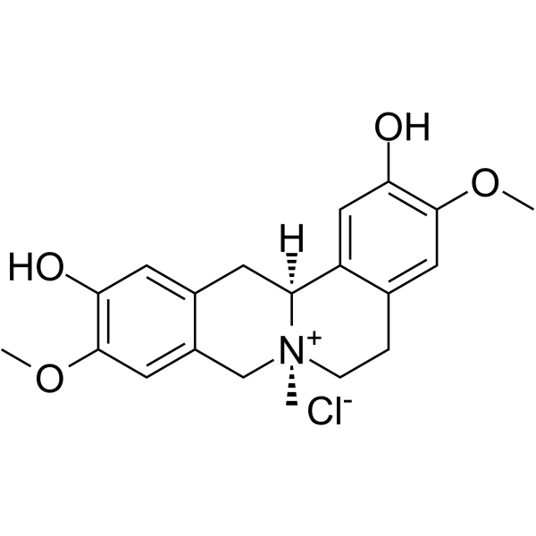 Phellodendrine-chloride