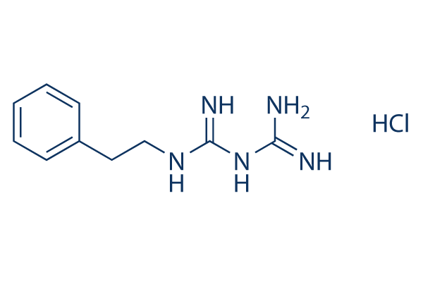 Phenformin HCl chemical structure