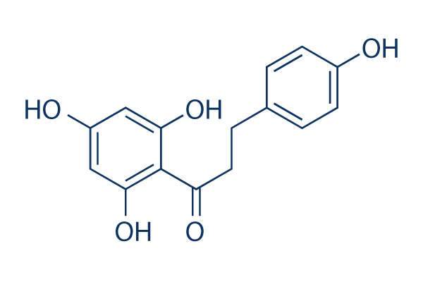 Phloretin