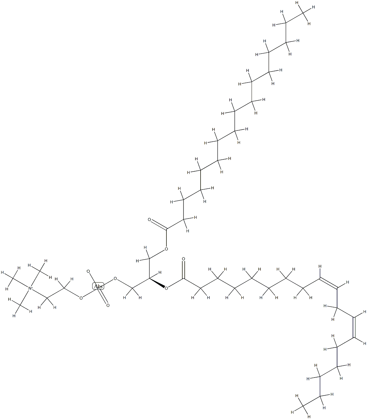 Sunflower phospholipids