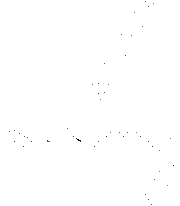 Sunflower phospholipids