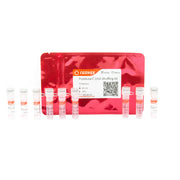PickMutant™ DNA Shuffling Kit
