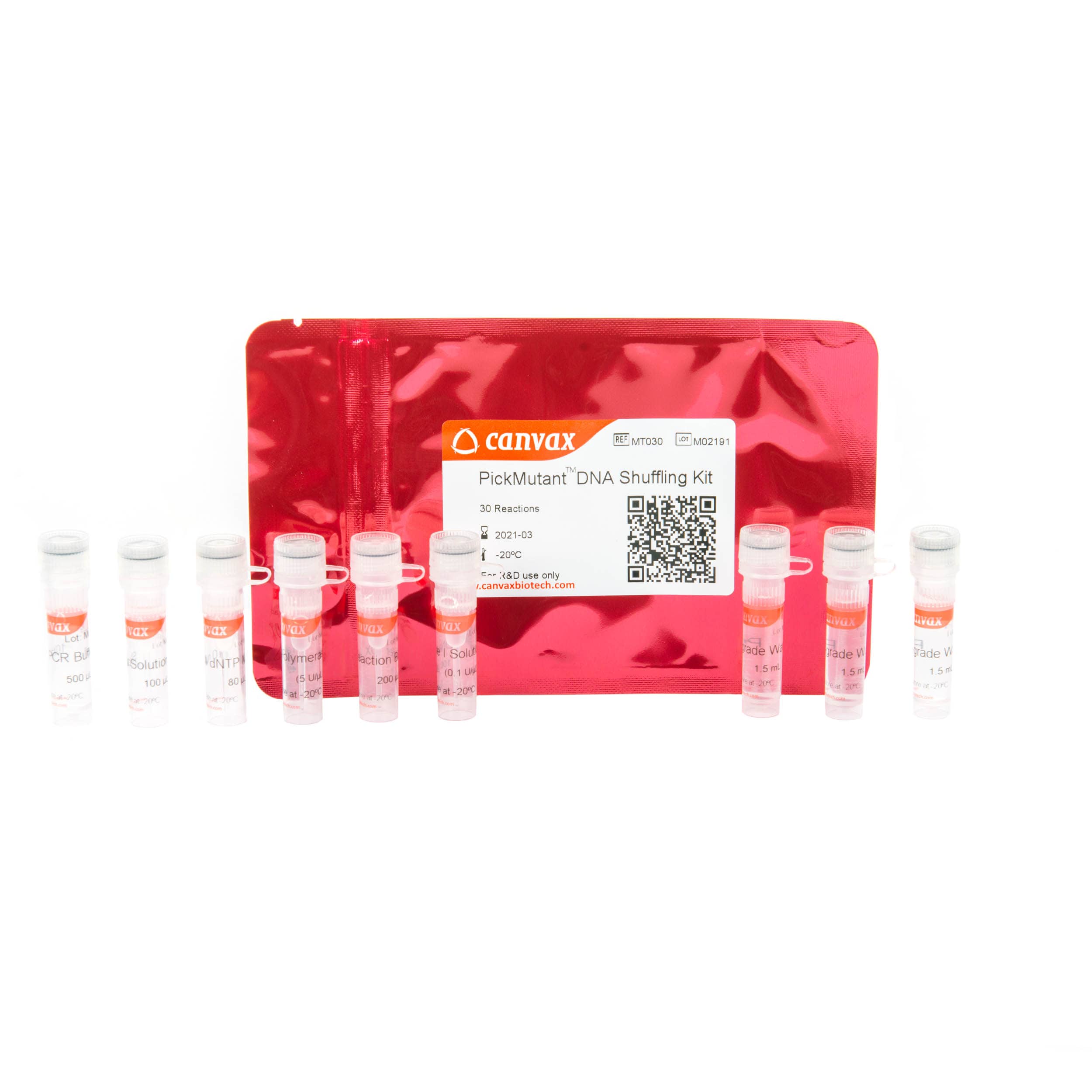 PickMutant™ DNA Shuffling Kit