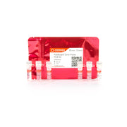 PickMutant™ Error Prone PCR Kit