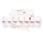 WideUSE™ Plasmid Maxiprep Kit