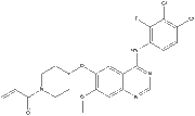 Poziotinib