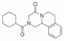 Praziquantel