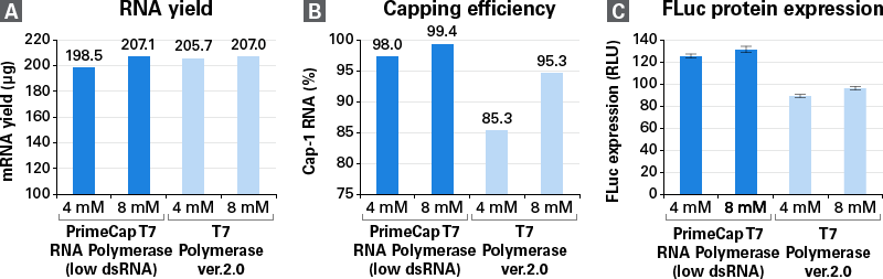 PrimeCap T7 RNA Polymerase (low dsRNA) - mRNA and cDNA synthesis - Takara Bio