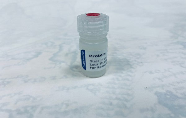 Catalog Protein.JPG