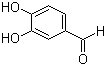 Protocatechualdehyde