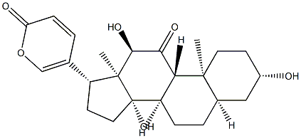 Pseudobufarenogin