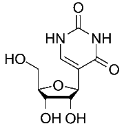 Pseudouridine