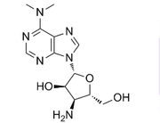 Puromycin aminonucleoside