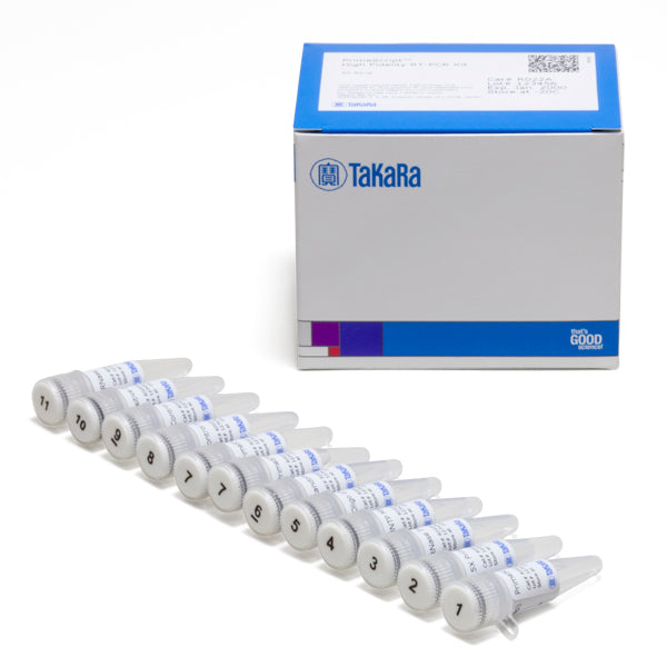 RT-PCR for gene expression analysis: PrimeScript High Fidelity RT-PCR Kit - mRNA and cDNA synthesis - Takara Bio