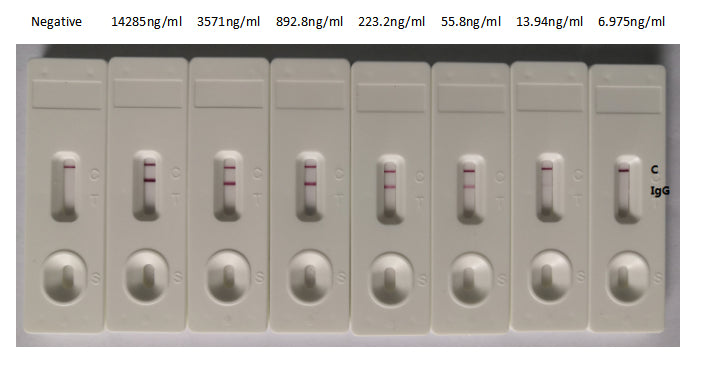 In the ColloidalGoldImmunochromatographyAssay; , detection system, the background of antibody (RAC07045) is clean, the detection limit can be as low as 13.94ng/ml (0.976ng/0.07ml), and the sensitivity is very good.
