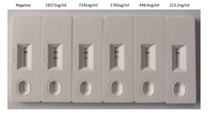 In the ColloidalGoldImmunochromatographyAssay; detection system, the background of antibody (RAC07046) is clean, the detection limit can be as low as 446.4ng/ml (31.25ng/0.07ml), and the sensitivity is very good.