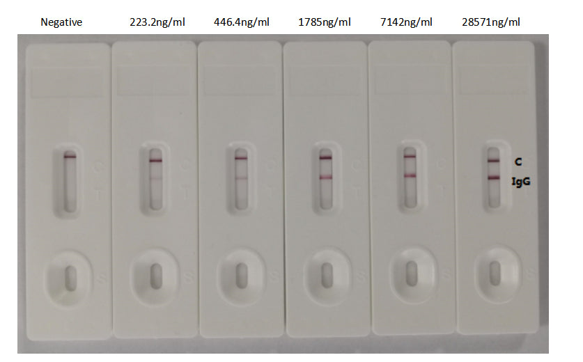 In the Colloidal Gold Immunochromatography Assay detection system, the background of antibody (RAC07047) is clean, the detection limit can be as low as 223.2ng/ml (15.625ng/0.07ml), and the sensitivity is very good.
