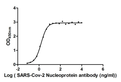 The Binding Activity of SARS-CoV-2-N Antibody with SARS-CoV-2-N; Activity: Measured by its binding ability in a functional ELISA. Immobilized SARS-CoV-2-N at 2 Âµg/ml can bind SARS-CoV-2-N Antibody, the EC50 is 1.586 ng/ml.