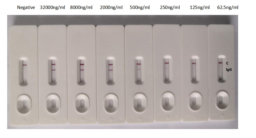 In the Colloidal Gold Immunochromatography Assay detection system, the background of antibody (RAC07048) is clean, the detection limit can be as low as 125ng/ml (8.75ng/0.07ml), and the sensitivity is very good.