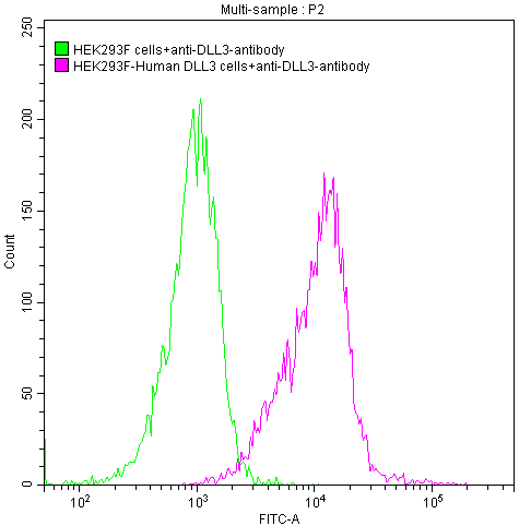 Untransfected HEK293 cells (green line) and transfected Human DLL3 HEK293 stable cells (red line) were stained with anti-DLL3 antibody (rovalpituzumab-like) (2Âµl/1*106cells), washed and then followed by FITC-conjugated anti-Human IgG1 Fc antibody and analyzed with flow cytometry.