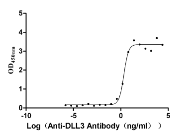The Binding Activity of DLL3 with Anti-DLL3 Recombinant Antibody.; ,Activity: Measured by its binding ability in a functional ELISA. Immobilized DLL3 at 2 Âµg/mL can bind Anti-DLL3 Recombinant Antibody(RAC07055), the EC50 is 1.625-2.702 ng/mL.