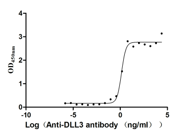 The Binding Activity of DLL3 with Anti-DLL3 Recombinant Antibody.; , Activity: Measured by its binding ability in a functional ELISA. Immobilized DLL3 at 2 Âµg/mL can bind Anti-DLL3 Recombinant Antibody(RAC07055), the EC50 is 1.102-1.707 ng/mL.
