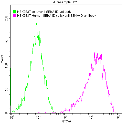 Untransfected HEK293T cells (green line) and transfected Human SEMA4D HEK293T stable cells (red line) were stained with anti-SEMA4D antibody (2Âµg/1*106cells), washed and then followed by FITC-conjugated anti-Human IgG Fc antibody and analyzed with flow cytometry.
