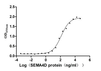 The Binding Activity of Mouse Sema4d with Anti-SEMA4D recombinant antibody.; Activity: Measured by its binding ability in a functional ELISA. Immobilized Mouse Sema4d at 2 Âµg/mL can bind Anti-SEMA4D recombinant antibody, the EC50 is 98.14-174.8 ng/mL.