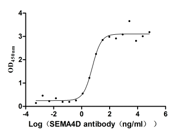 The Binding Activity of Human SEMA4D with Anti-SEMA4D recombinant antibody.; , Activity: Measured by its binding ability in a functional ELISA. Immobilized Human SEMA4D at 2 Âµg/mL can bind Anti-SEMA4D recombinant antibody, the EC50 is 1.082-4.805 ng/mL.